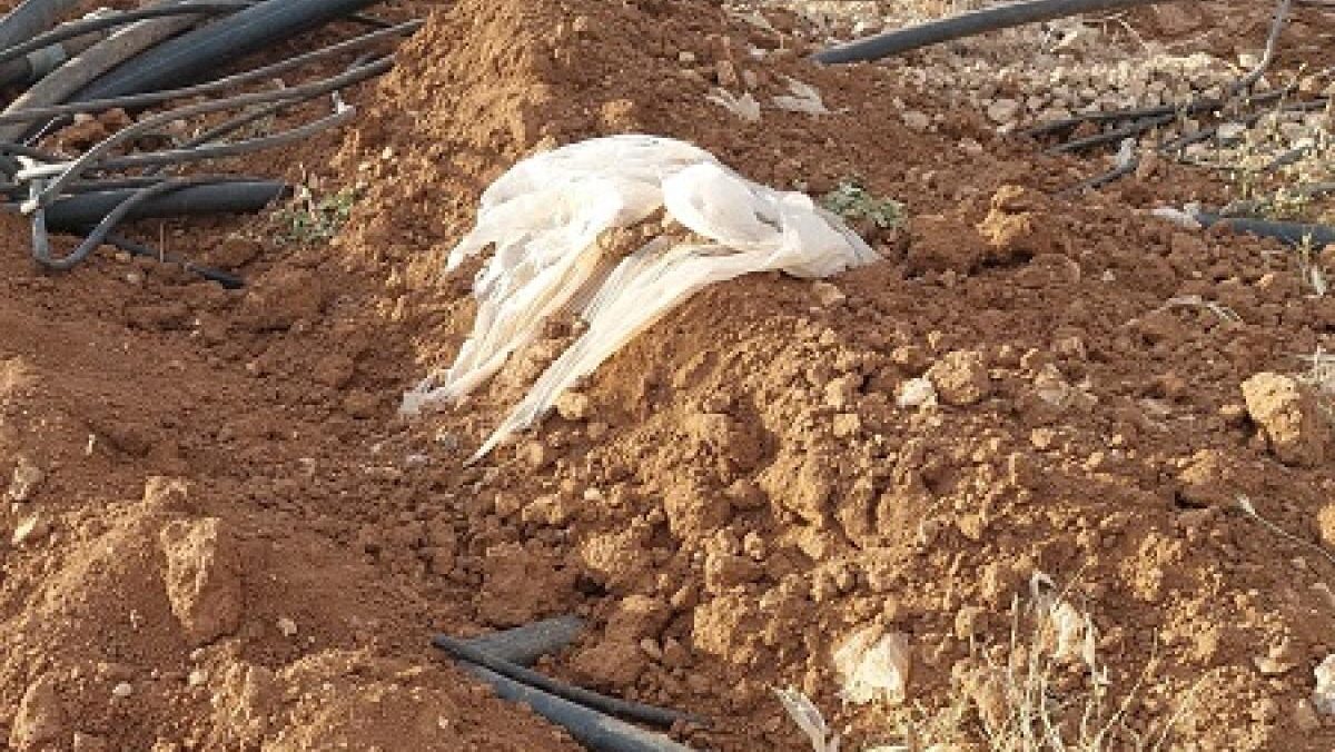 مستوطنون يغلقون طريقًا ترابيًا ويعتدون على خط ناقل للمياه شرق طوباس