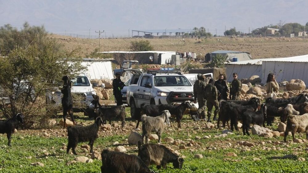 مستوطنون يمنعون المواطنين من رعي مواشيهم في الأغوار الشمالية
