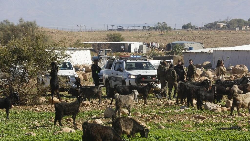 مستوطنون يمنعون المواطنين من رعي مواشيهم في الأغوار الشمالية