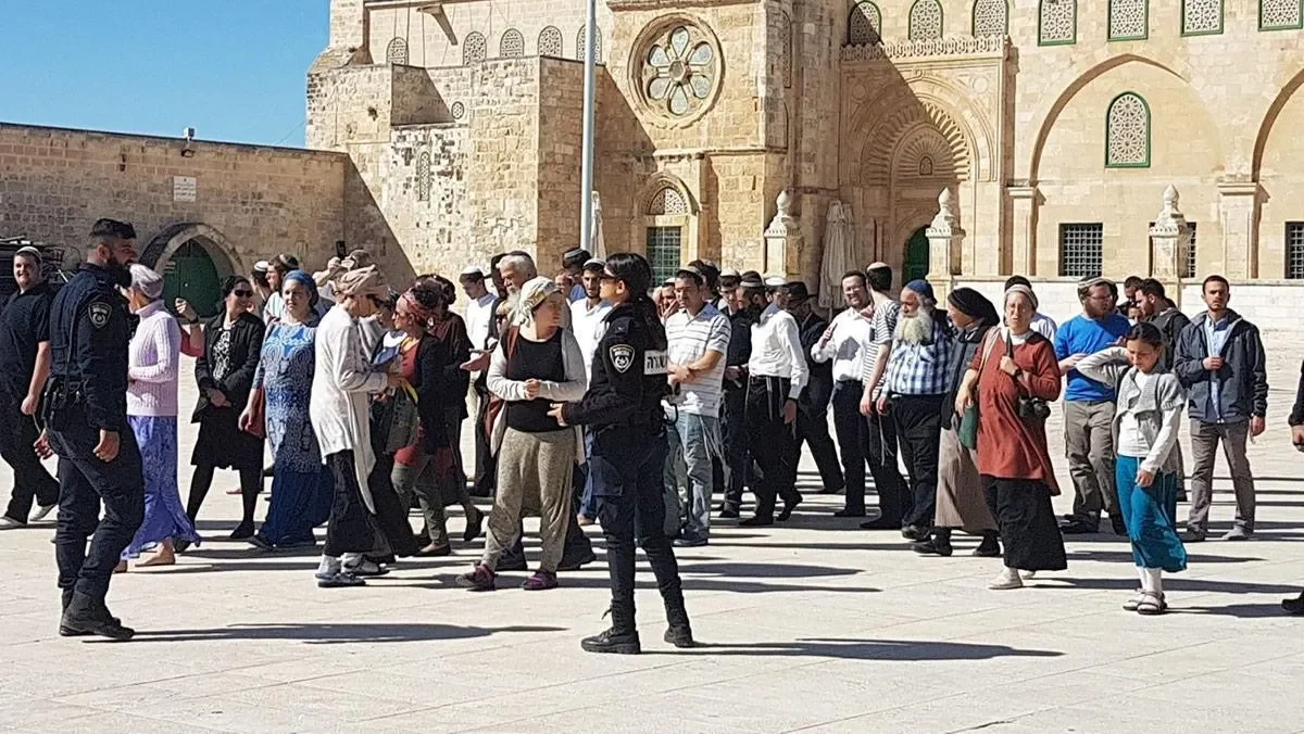 كتب صلاة ورقص وغناء.. عشرات المستوطنين يقتحمون المسجد الأقصى ويؤدون طقوسا استفزازية