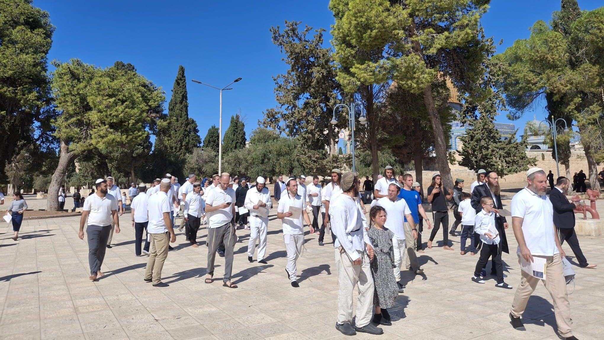 1143 مستوطناً يقتحمون المسجد الأقصى بحماية شرطة الاحتلال
