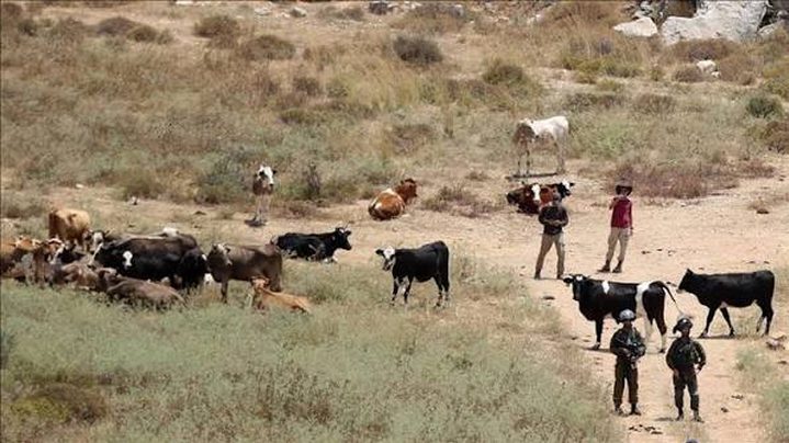 الاحتلال يداهم مسكن مواطن ويهدده بالترحيل في سهل طوباس