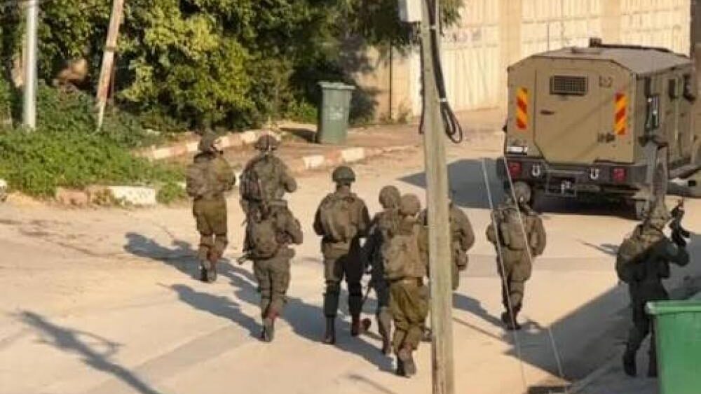 الاحتلال يداهم منتزه في ضاحية شويكة شمال طولكرم ويستولي على حيوانات برية