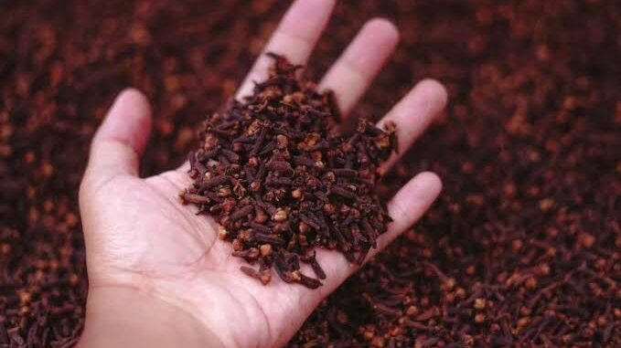 هل يسهم القرنفل في مواجهة الأمراض التنفسية حقا؟