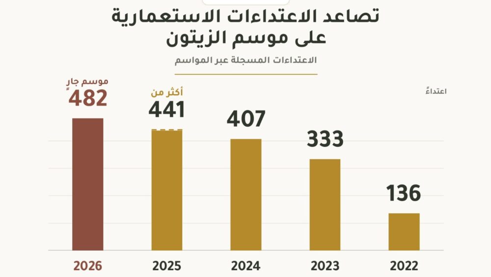 تصاعد الاعتداءات منذ عام 2022: أكثر من 482 اعتداء منذ بدء موسم الزيتون 2026