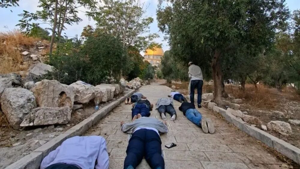 عشرات المستعمرين يقتحمون المسجد الأقصى