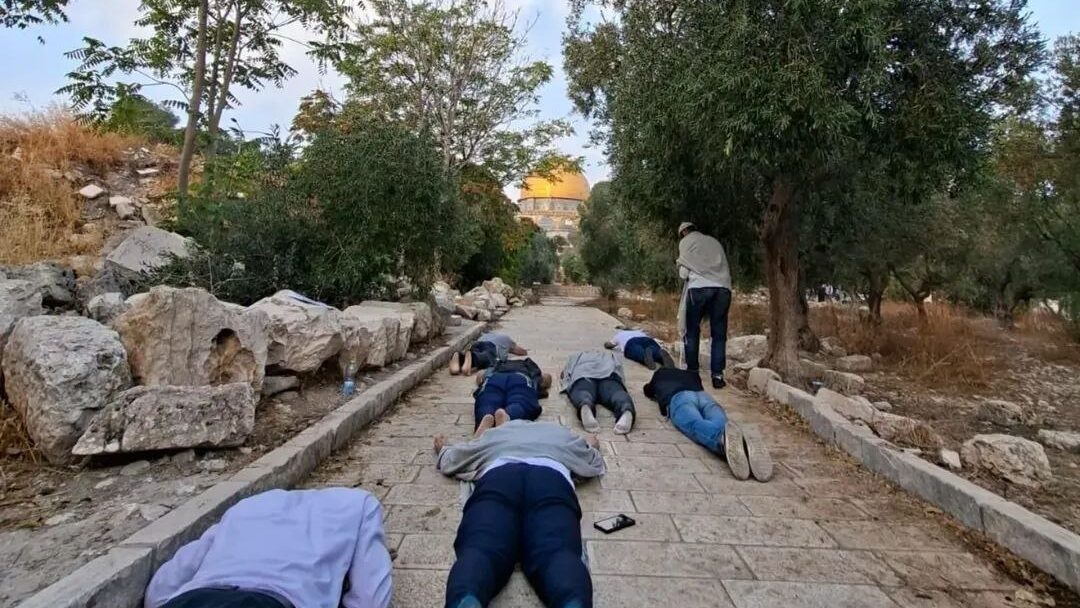 عشرات المستعمرين يقتحمون المسجد الأقصى