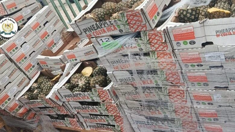 ضبط 2 طن ونصف من فاكهة الأناناس غير الصالحة للاستهلاك في نابلس