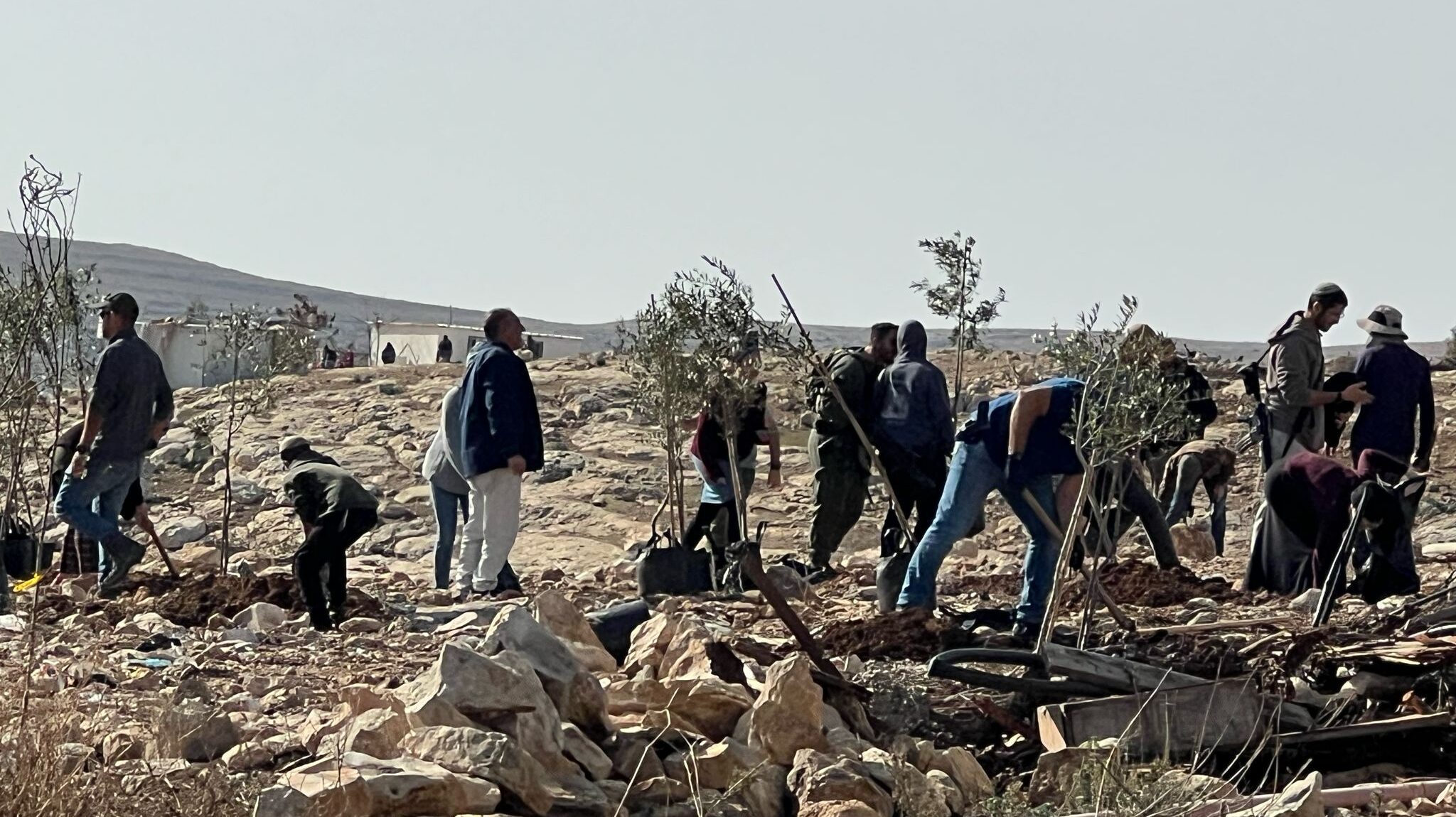 الاحتلال يمنع قاطفي الزيتون من الوصول إلى أراضيهم ومستعمرون يعتدون على مزارعين ويقطعون عشرات الأشجار شرق نابلس